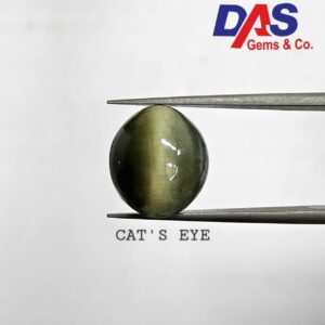 Cats Eye (Lehsunia)